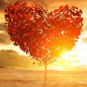 Powerful Love Spells Services in Delhi