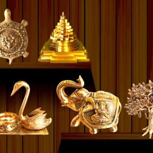 Vastu Products in Delhi